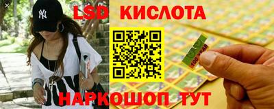 шишки Конаково