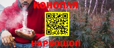 шишки Коммунар