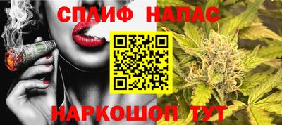 шишки Коммунар